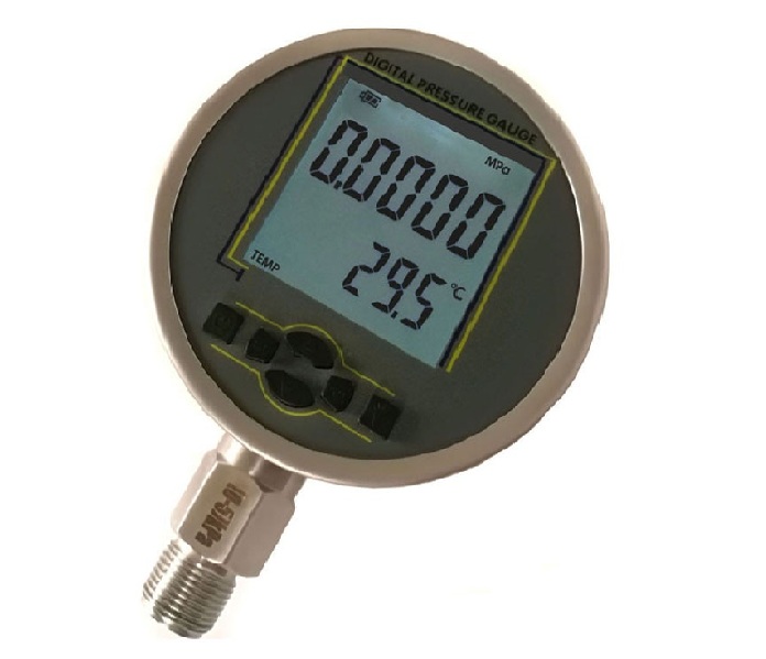 DPG210 Digital Pressure Gauge