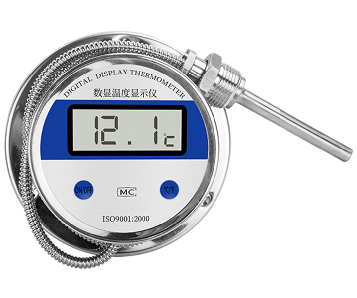 Digital thermometer with probe